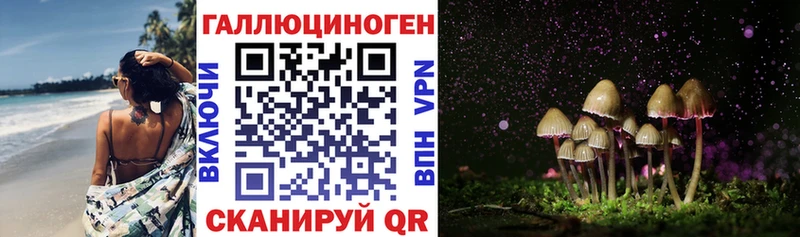 Псилоцибиновые грибы ЛСД  купить наркотики сайты  Пучеж 